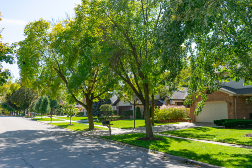 Woodleaf Reserve: Where Nature Meets Neighborhood Image